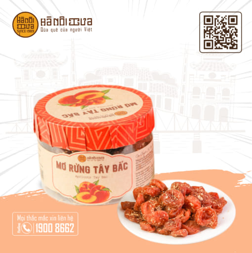 Ô Mai Mơ Rừng Tây Bắc - Ảnh 3