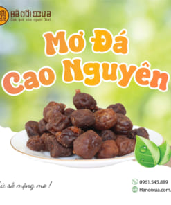 Mơ Đá Cao Nguyên