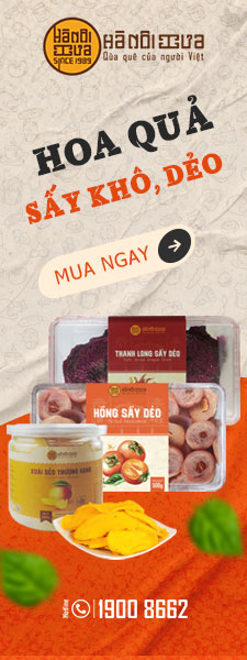 banner-anh-danh-muc-hoa-qua-say-225-x600